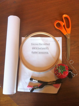 Illustration for article titled DIY: How To Make Your Very Own Naughty Cross-Stitch